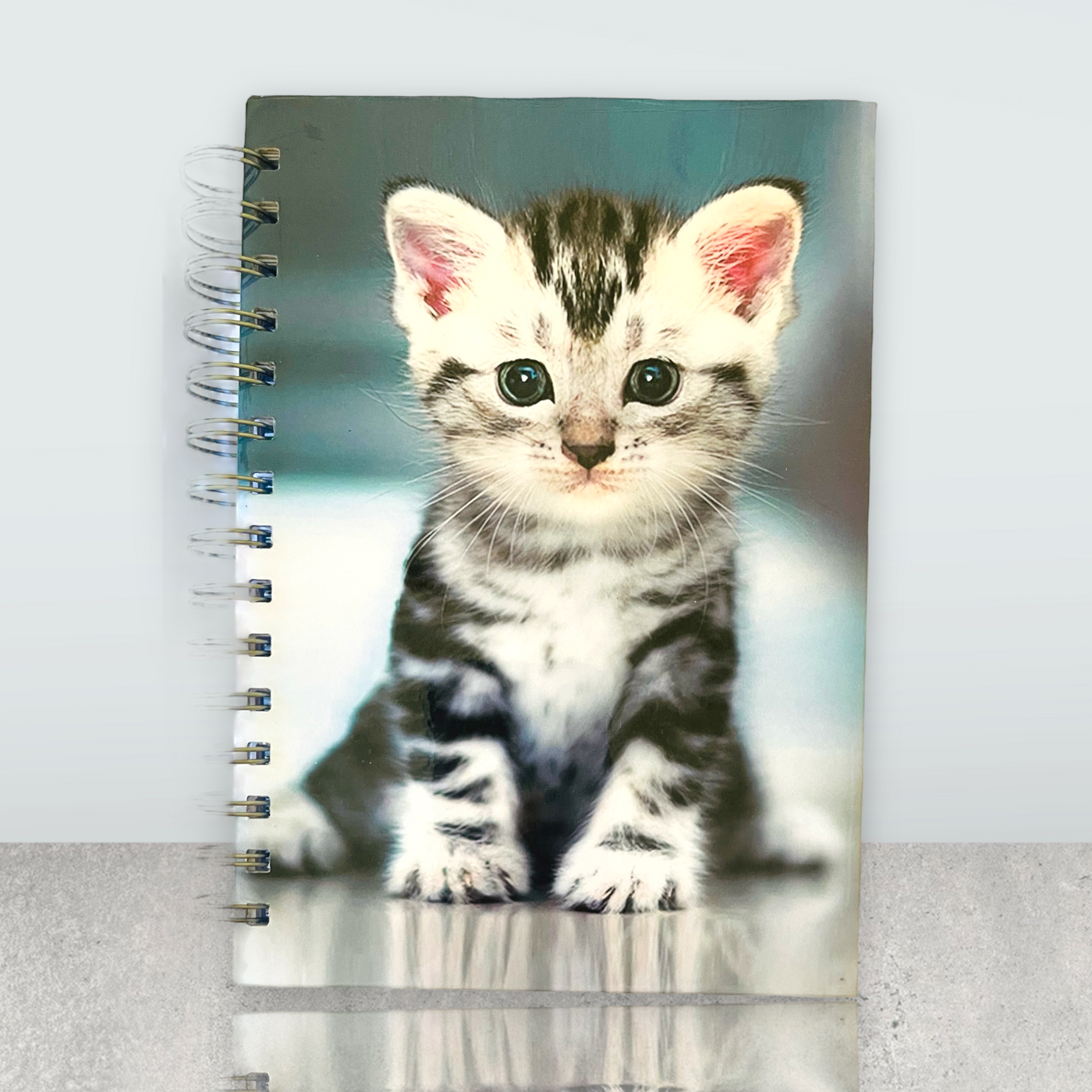 Cutest Kitten Ever Notebook (lined Pages) & (Plain Pages)